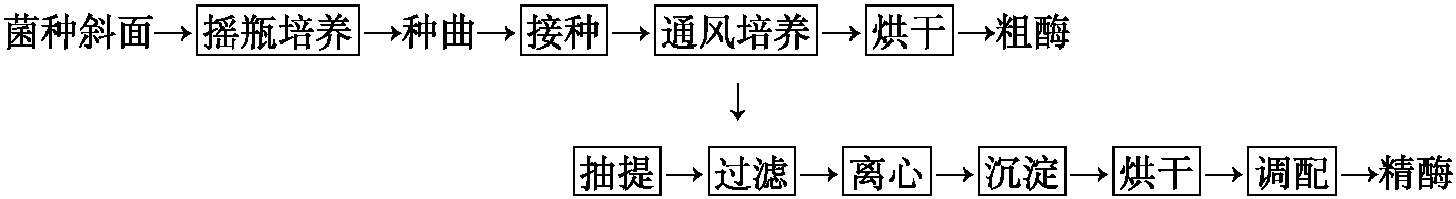 5.酶制劑的生產(chǎn)技術(shù)有哪些?